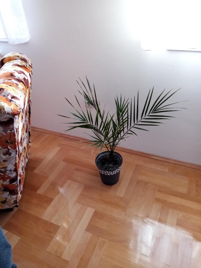 Apartman Maca Pirot Exteriör bild