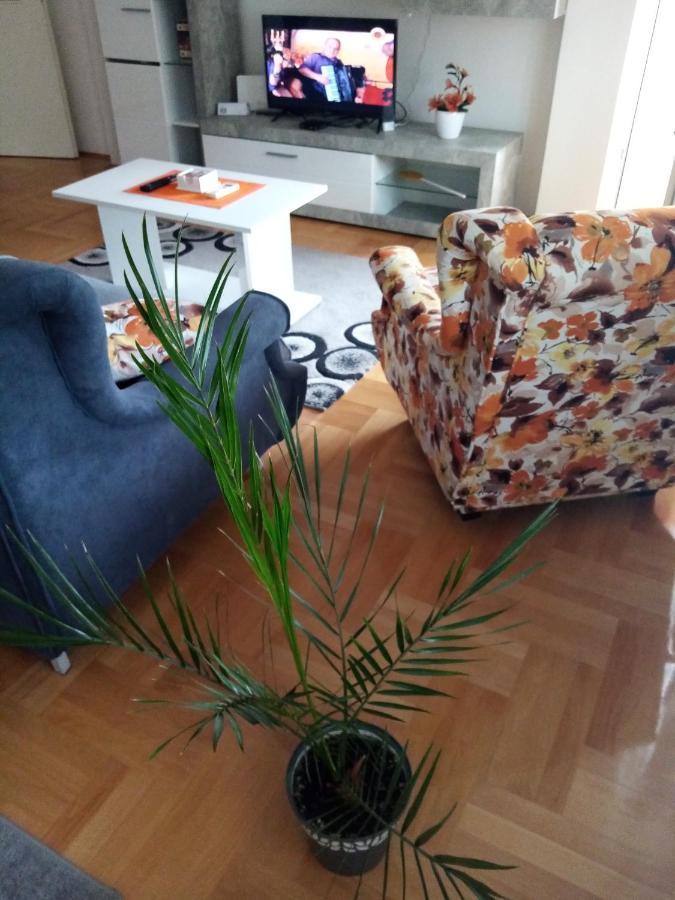 Apartman Maca Pirot Exteriör bild