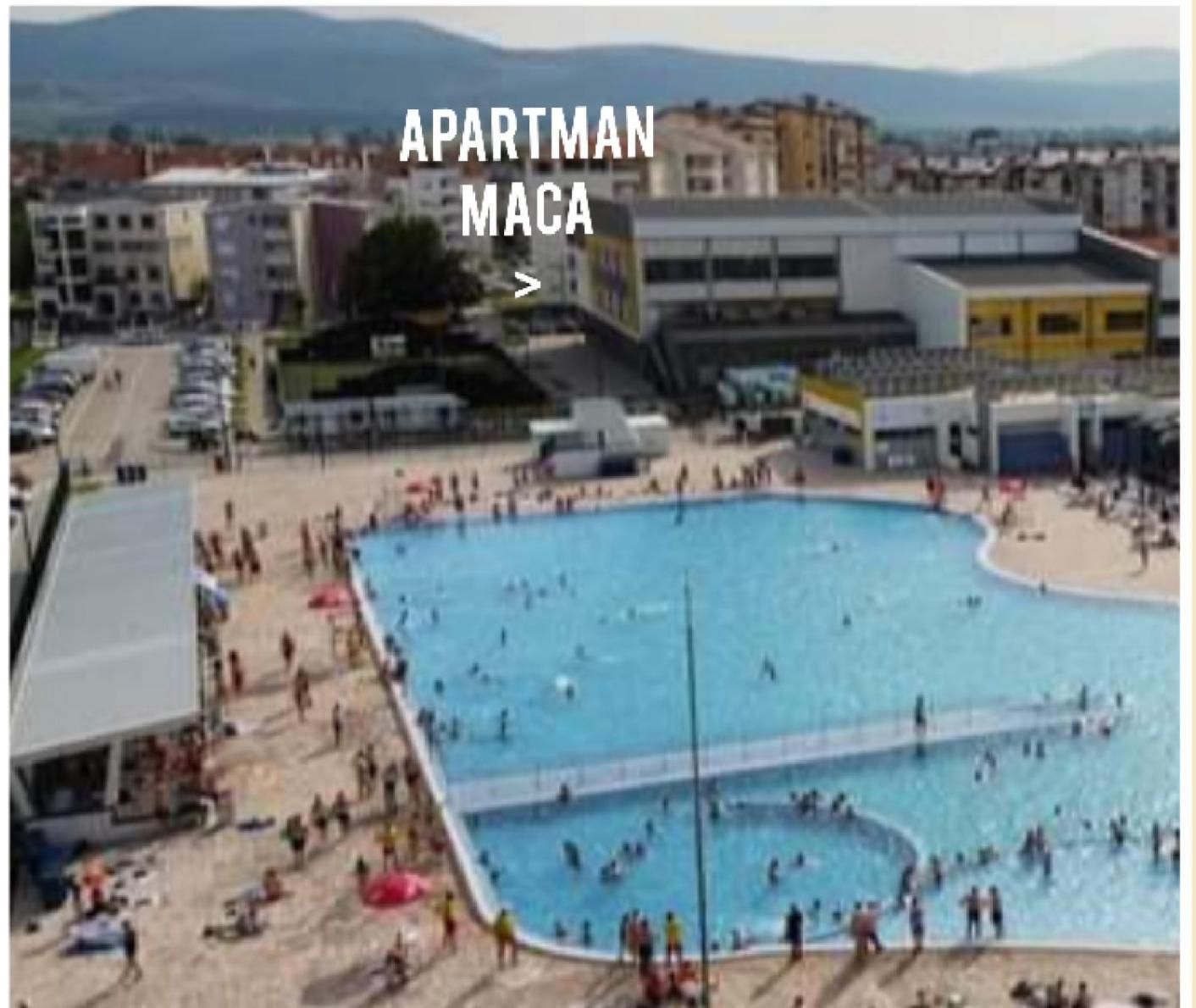 Apartman Maca Pirot Exteriör bild