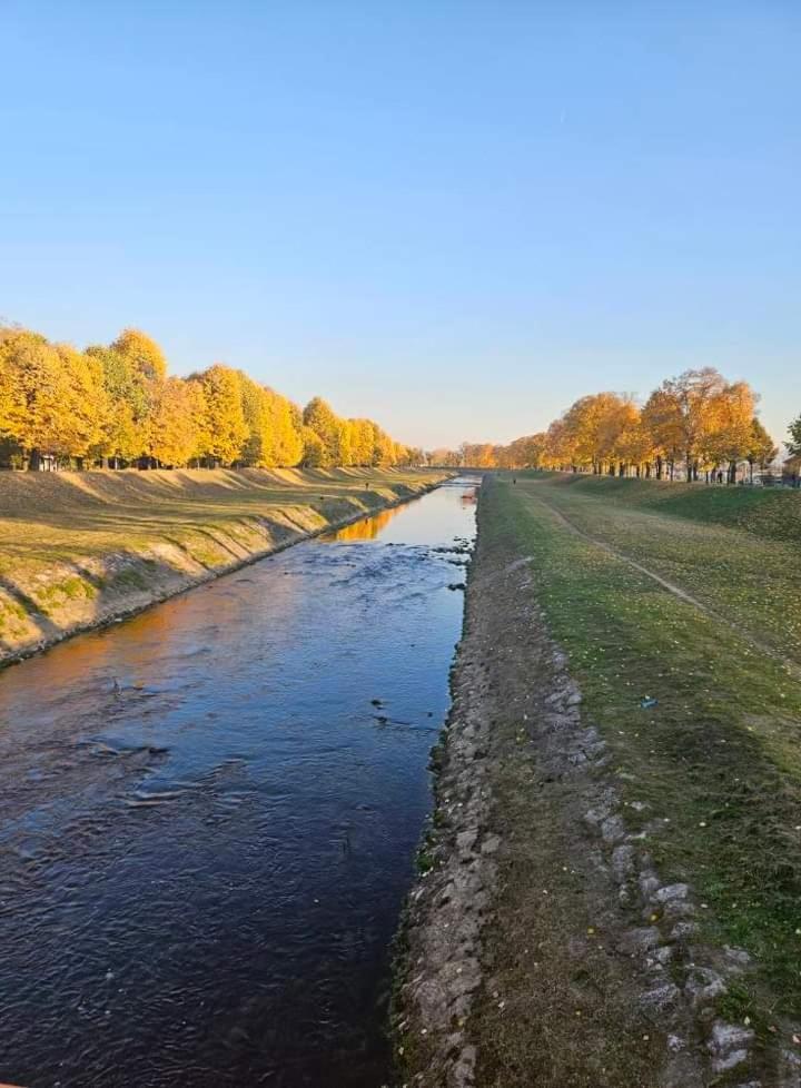 Apartman Maca Pirot Exteriör bild